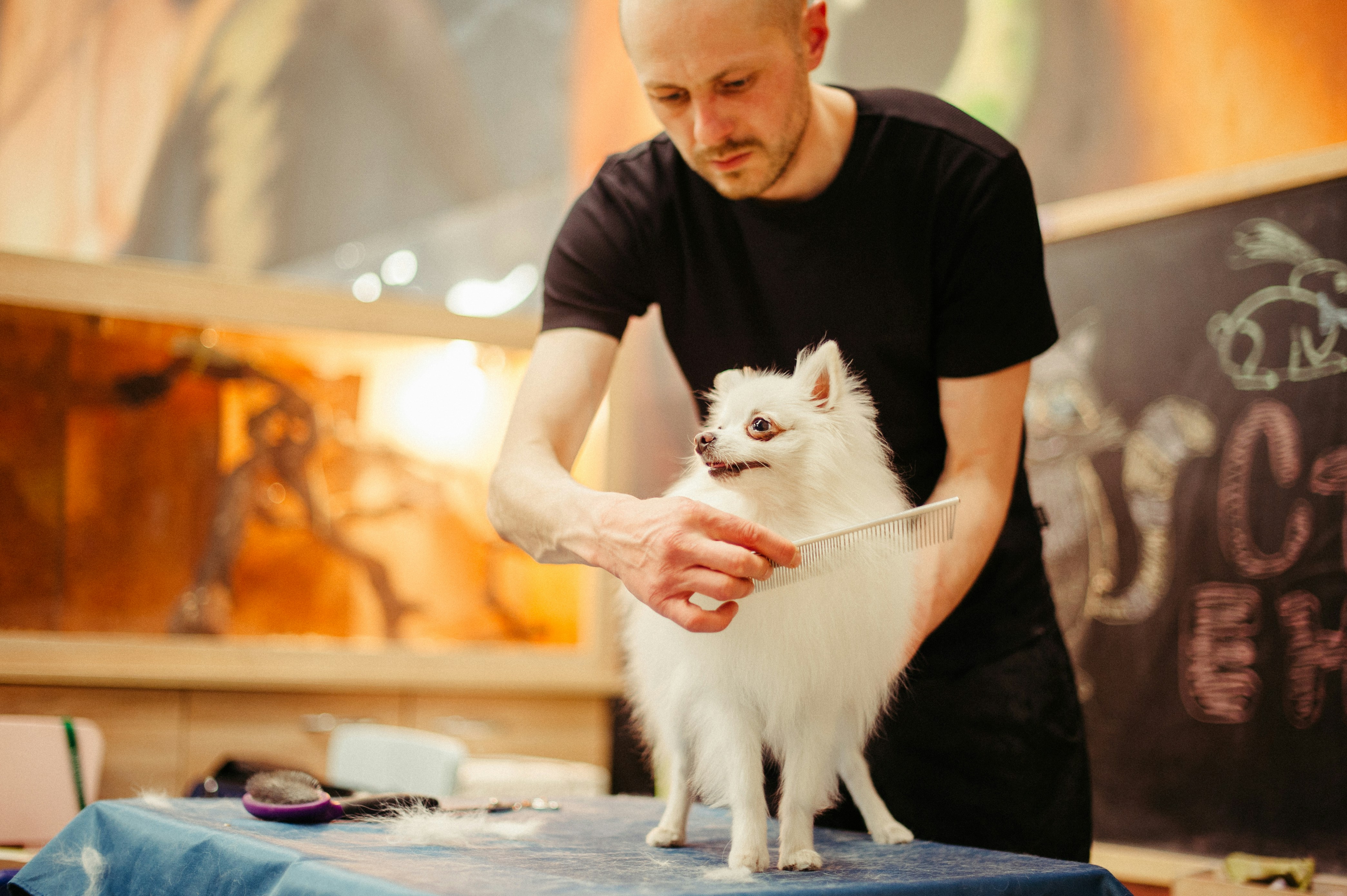 Behandlungsraum im Salon Curfeni Berlin